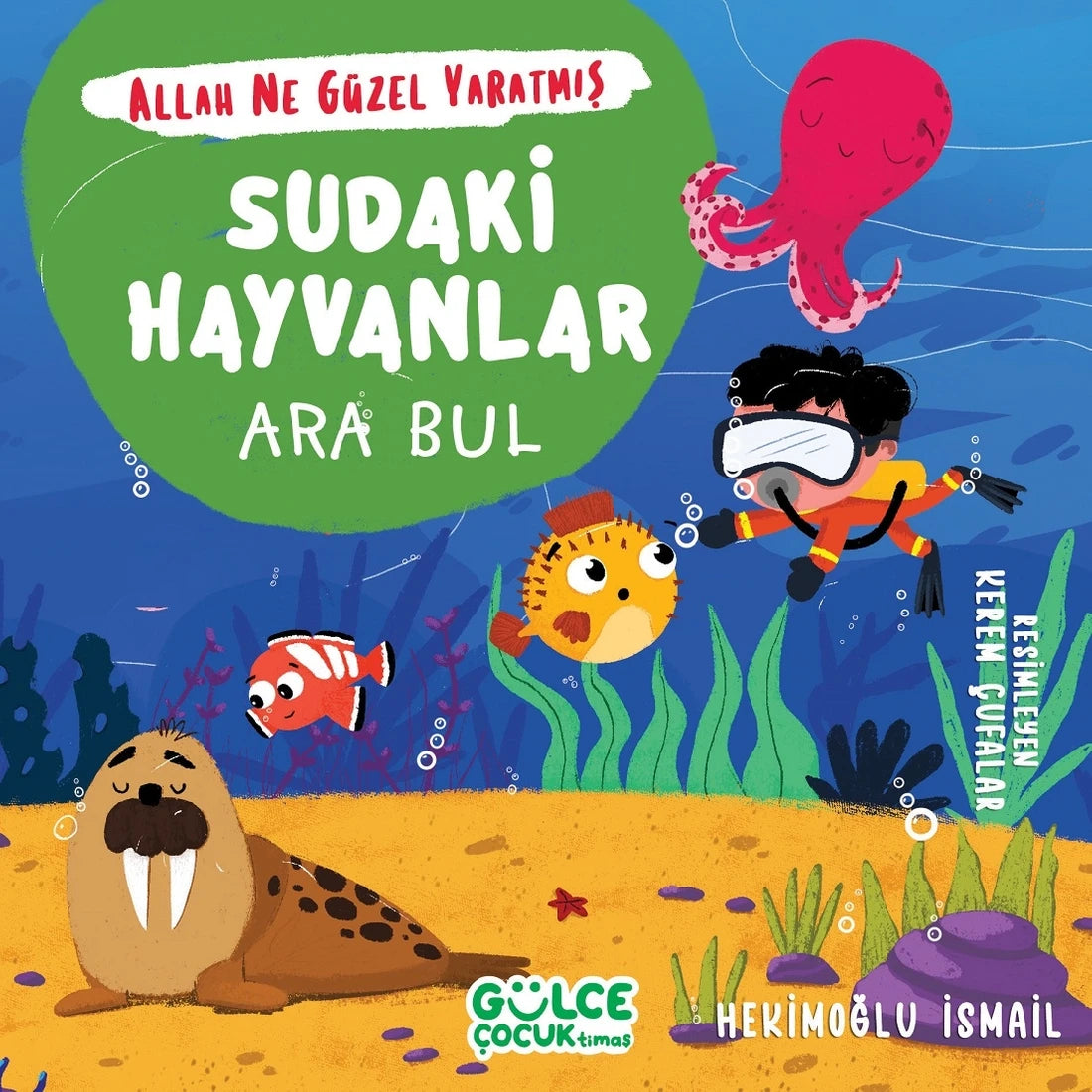 Allah Ne Güzel Yaratmış - Ara Bul Set (4 Kitap)