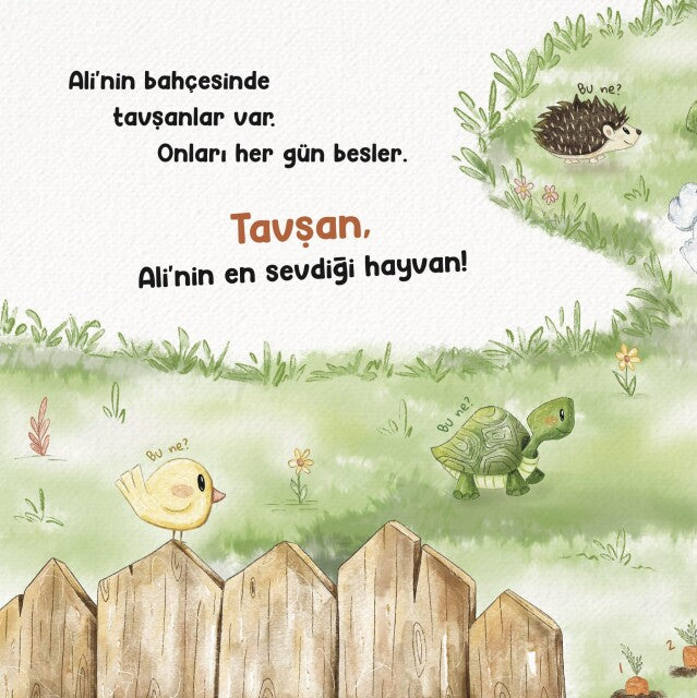 Hayır mı?