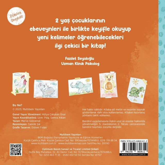 Hayır mı?