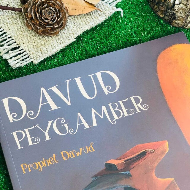 Davud Peygamber
