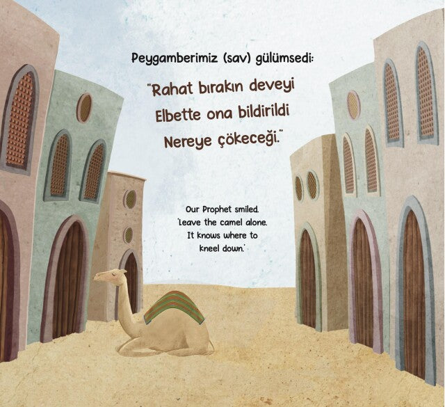 Kutlu misafir