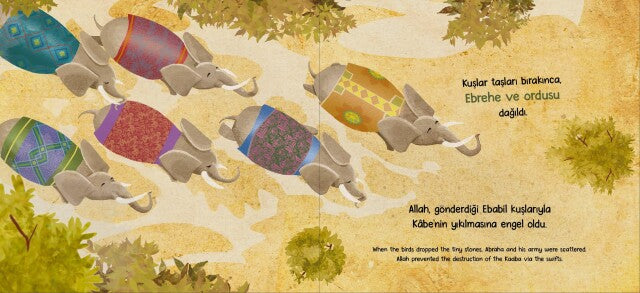 Muhteşem Kuşlar