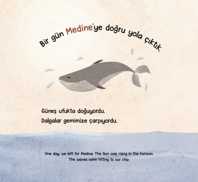 Karşı kıyıya yolculuk