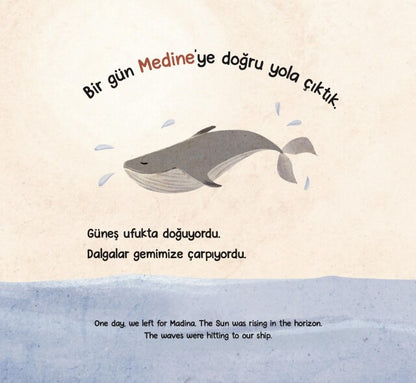 Karşı kıyıya yolculuk
