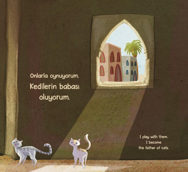 Kedi Babası
